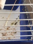 IMG_7507.jpeg
