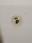 IMG_0799.jpeg