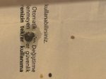 IMG_1254.jpeg