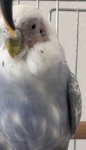 IMG_5608.jpg