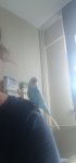 20260703_113748.jpg