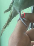 IMG_8073.jpeg