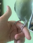 IMG_8071.jpeg