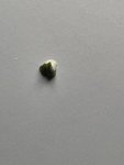 IMG_3037.jpeg