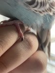IMG_3036.jpeg