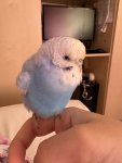 IMG_1353.jpeg
