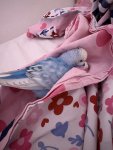 IMG_1361.jpeg