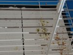 IMG_20260709_093726.jpg