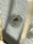 IMG_1841.jpeg
