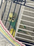 IMG_7368.jpeg