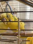 IMG_0963.jpeg