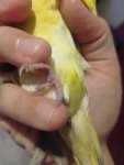IMG_20260710_201634.jpg