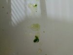 IMG_20260711_115012_992.jpg