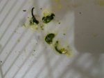 IMG_20260711_115006_547.jpg