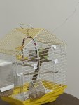 IMG_4837.jpeg IMG_4837.jpeg