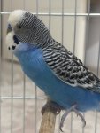 IMG_5680.jpeg