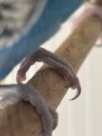 IMG_5672.jpeg