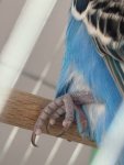 IMG_5668.jpeg