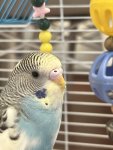 IMG_9663.jpeg