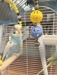 IMG_9657.jpeg
