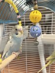 IMG_9660.jpeg