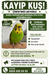file_000000003cec71f480f6a910d77d3859.png