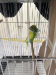 IMG_6724.jpeg