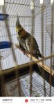 IMG_20260712_222355.jpg