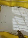 IMG_4907.jpeg