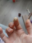 20260714_192631.jpg
