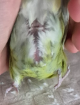 1784056181065.png
