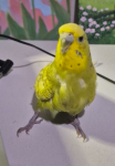1784057061389.png 1784057061389.png