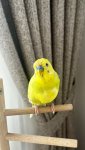 IMG_0417.jpeg
