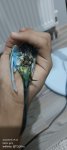 IMG_20260715_194341_907.jpg