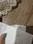 IMG_4942.jpeg