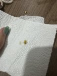 IMG_4943.jpeg