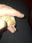 IMG-20260717-WA0057.jpg