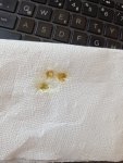 IMG_20260717_112602.jpg