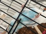 IMG_2790.jpeg