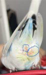 IMG_0616.jpeg