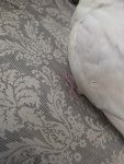 20260718_153424.jpg