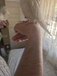 20260718_154138.jpg