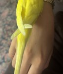 IMG_2546.jpeg