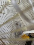 IMG_5874.jpeg