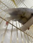 IMG_5873.jpeg