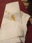 IMG_20260719_215315.jpg