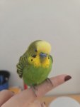 20260721_123923.jpg