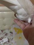 IMG_0909.jpeg