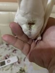 IMG_0908.jpeg