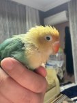 IMG_2564.jpeg